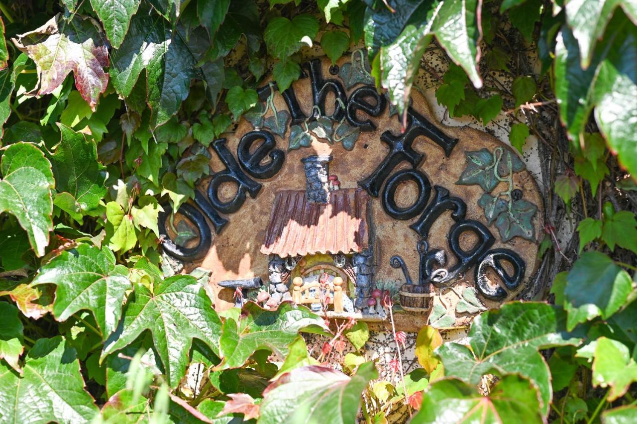 The Olde Forge B & B Caherdaniel Exterior photo